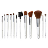 Set Profesional - 12 Brochas